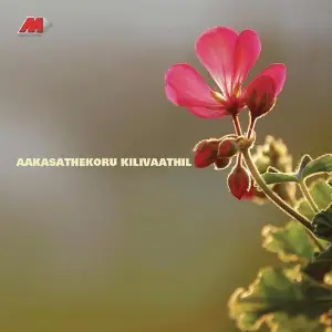 Aakasathekoru Kilivaathil image
