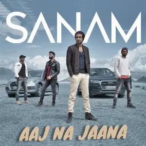 In Love With Sanam Sanam (Band)