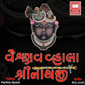Vaishnav Valla Shreenathji image