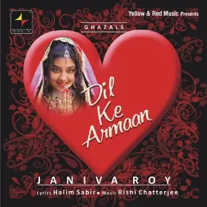 Dil Ke Armaan image