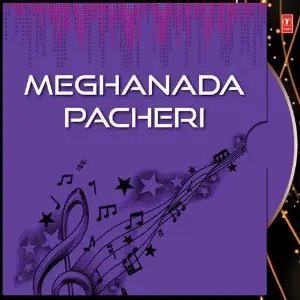 Meghanada Pacheri image