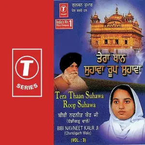 Tera Thaan Suhawa Roop Suhawa (Vol. 3) image