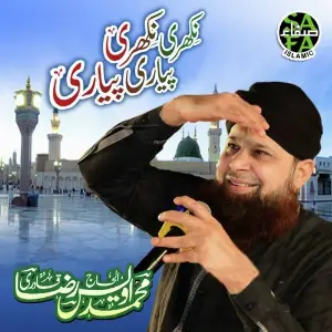Nikhr Nikhri image