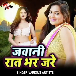 Jawani Rat Bhar Jare image