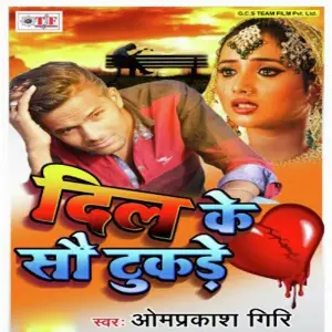 Dil Ke Sau Tukade image