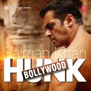 Salman Khan Bollywood Hunk image