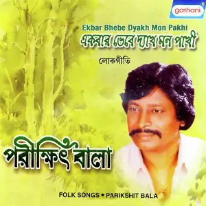Ekbar Bhebe Dyakh Mon Pakhi image