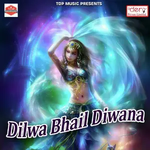 Dilwa Bhail Diwana image