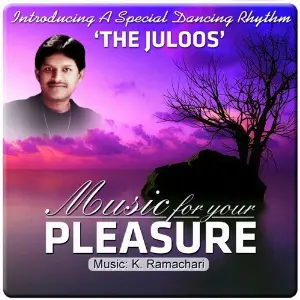 Music For Your Pleasure - Ramachari image