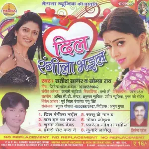 Dil Rangeela Bhaiyal image