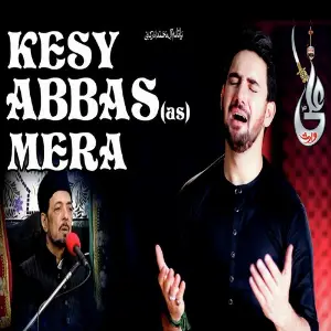 Sarkar Jante Hain Syed Farhan Ali Waris