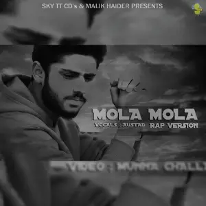 Mola Mola image