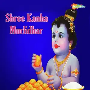 Shree Kanha Murlidhar image