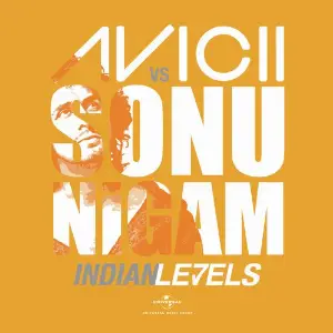 Indian Levels image