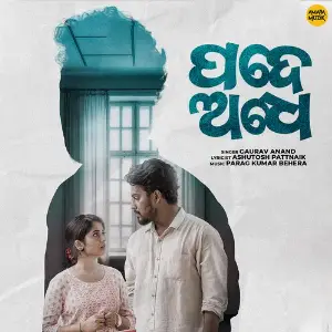 Pade Adhe image