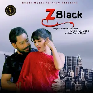 Z Black image