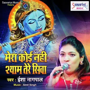 Om Maha Lakshmi Namo Namah image