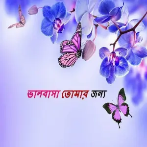 Valobsha Tomar Jonno image