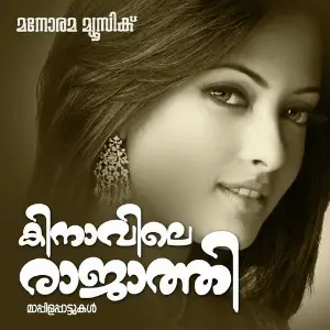 Kinavile Raajathy image
