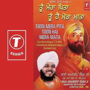 Toon Mera Pita Toon Hai Mera Mata (Vol. 15) image