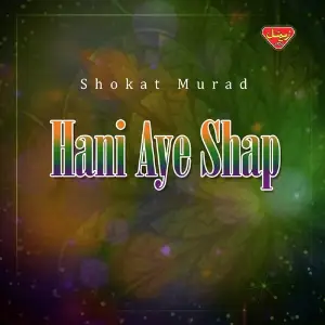 Hani Aye Shap image