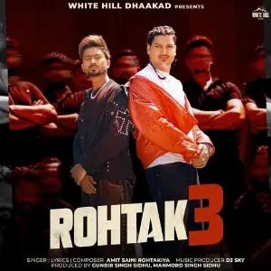 Rohtak 3 image
