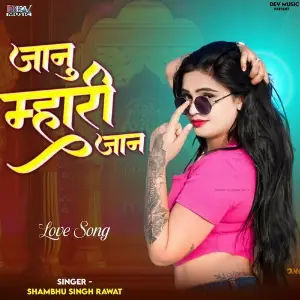 Jaanu Mhari Jaan image