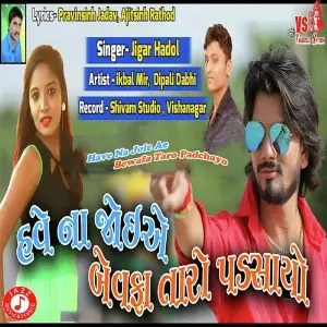 Have Na Joie Ae Bewafa Taro Padchayo image
