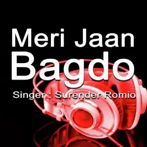 Meri Jaan Bagdo image