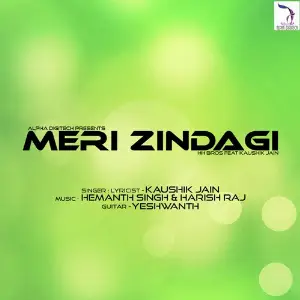 Meri Zindagi image