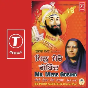 Mil Mere Gobind (Vol. 7) image