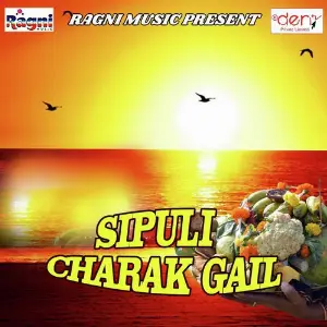 Sipuli Charak Gail image