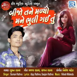 Bijo Tane Malyo Mane Bhuli Gayi Tu image
