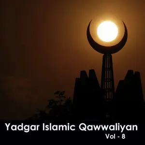 Yaadgar Islamic Qawwaliyan, Vol. 8 Jani Babu