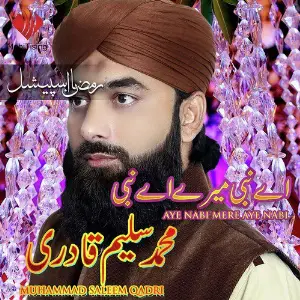 Aye Nabi Mere Aye Nabi image