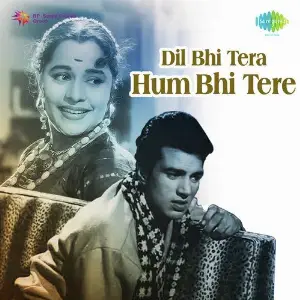Dil Bhi Tera Hum Bhi Tere image