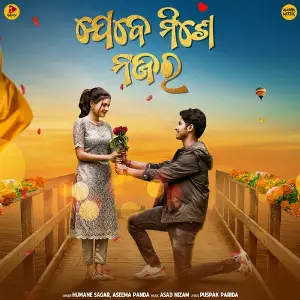 Jebe Mise Najar image