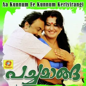Aa Kunnum Ee Kunnum Keriyirangi image