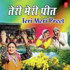 Teri Meri Preet image