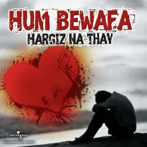 Hum Bewafa Hargiz Na Thay image