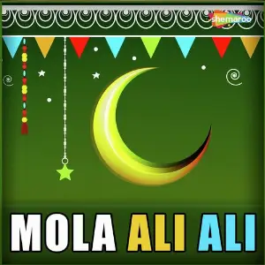 Mola Ali Ali image