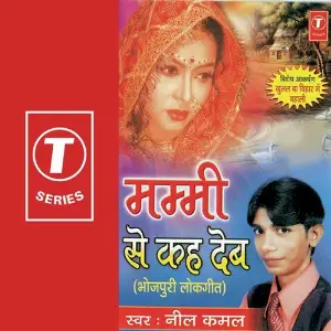Mummi Se Keh Deb image