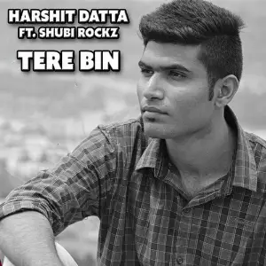 Tere Bin image