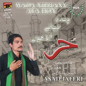 Wada Nibhany Aya Hon, Vol. 6 image