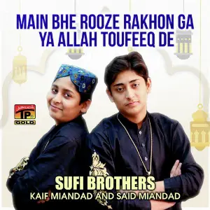 Main Bhe Rooze Rakhon Ga Ya Allah Toufeeq De - Single image
