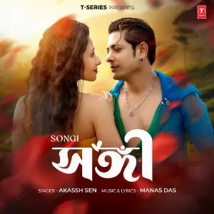 Songi image