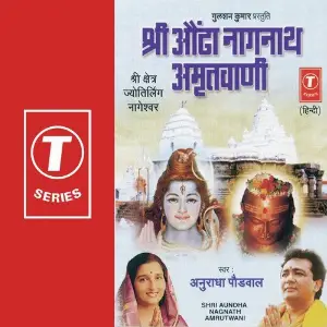 Shri Aundha Nagnath Amrutwani image