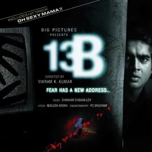 13 B image