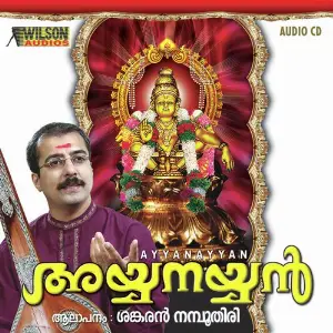Ayyanayyan image
