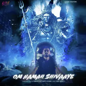 Om Namah Shivaaye image